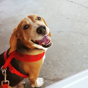 Fundraising Page: Breanna Turman